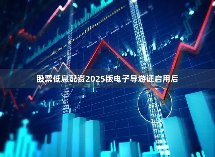 股票低息配资2025版电子导游证启用后
